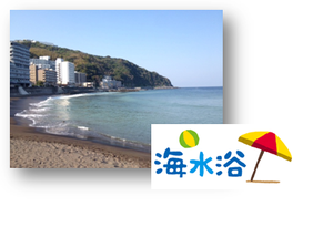 写真1.png