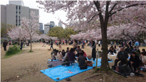 靭公園.gif